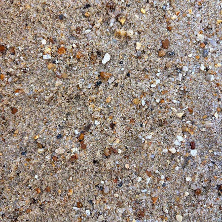 Close-up of sand with small stones and pebbles