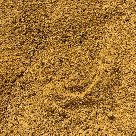 Close-up of a textured brown surface