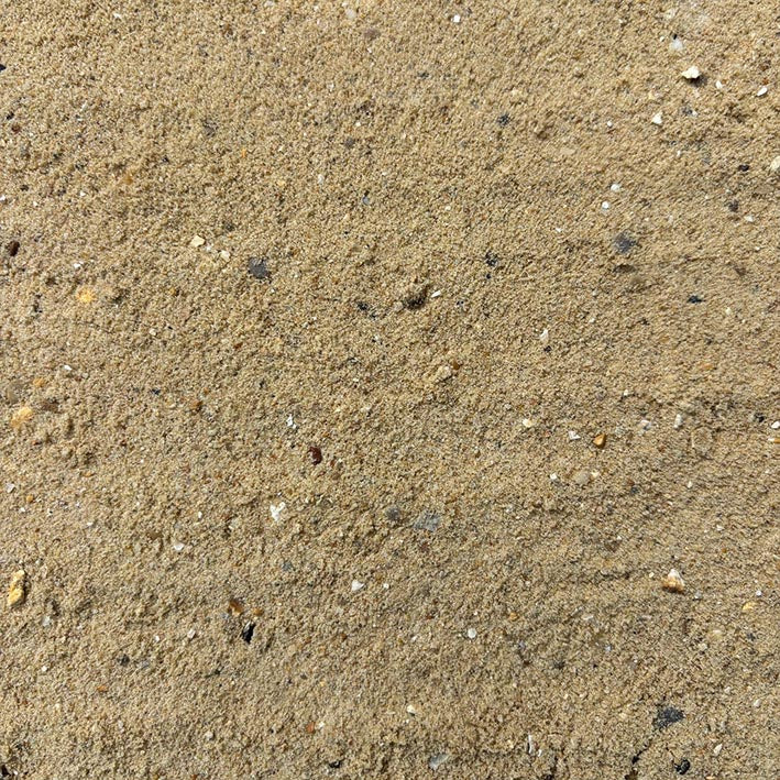 Close-up of sand with small stones and debris