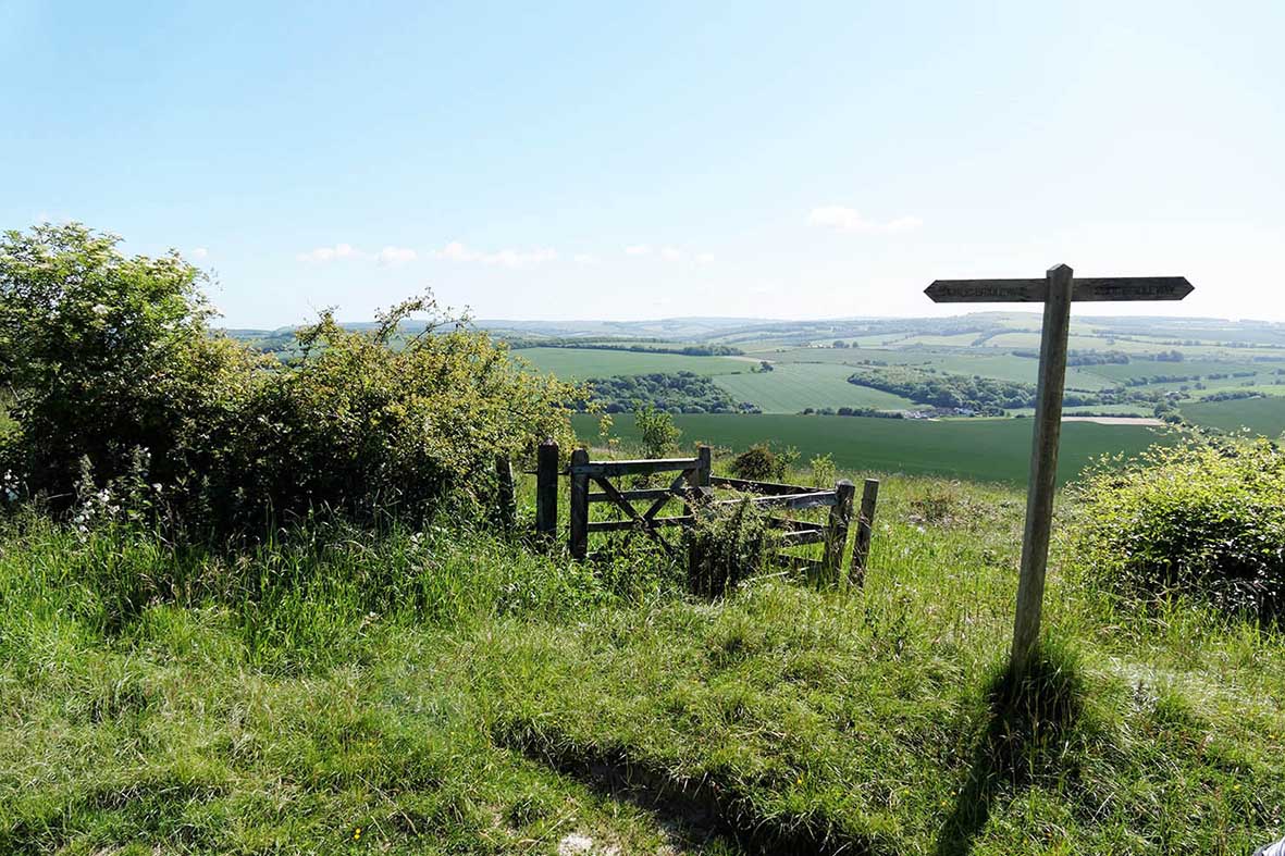 view of the South Downs with a sign post in the foreground