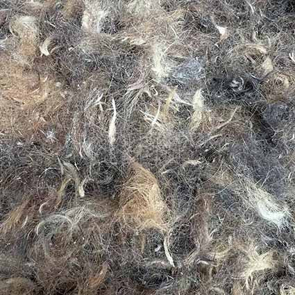close up of tangled bovine hair