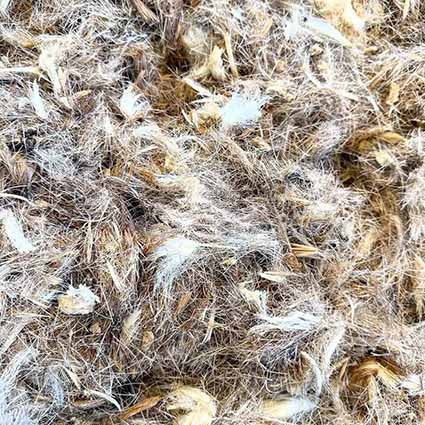 close up of deer and goat hair