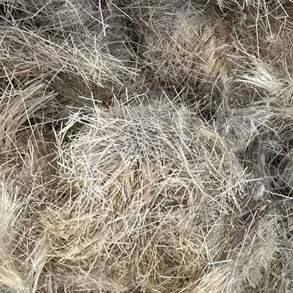 close up of deer hair